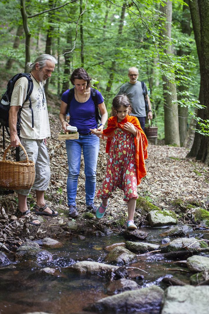 Drei Erwachsene und ein Kind vor einem kleinen Bach im Wald, den sie gleich überqueren wollen. Sie tragen Körbe in unterschiedlichen Größen und Brauntönen.