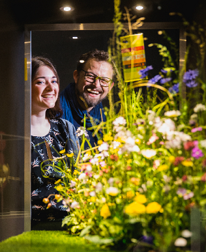 Zwei Menschen betrachten Wildwiesenpflanzen in einem Glaskasten und lachen dabei.