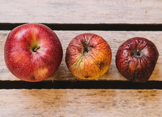 Drei verschieden große, rote Äpfel, die auf Holz liegen.