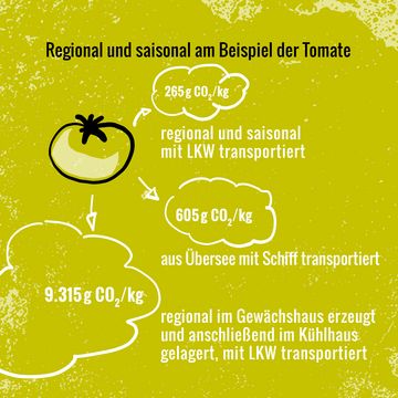 Hellgrüner Hintergrund. Zeichnung einer Tomate. Bildaufschrift: regional uns saisonal mit LKW transportiert (265 g CO2/kg). Aus Übersee mit Schiff transportiert (605 g CO2/kg). Regional im Gewächshaus erzeugt und anschließend im Kühlhaus gelagert, mit LKW transportiert (9315 g CO2/kg).