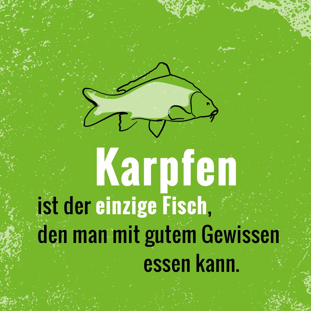 Hellgrüner Hintergrund. Bildaufschrift: Karpfen ist der einzige Fisch, den man mit gutem Gewissen essen kann.