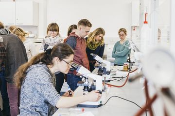 Schüler:innen untersuchen Proben mit Mikroskopen in einem Labor.