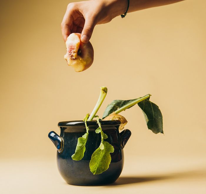 Halb aufgegessener Pfirsich wird von einer Hand in einen Keramiktopf geworfen, in dem Gemüsereste liegen.