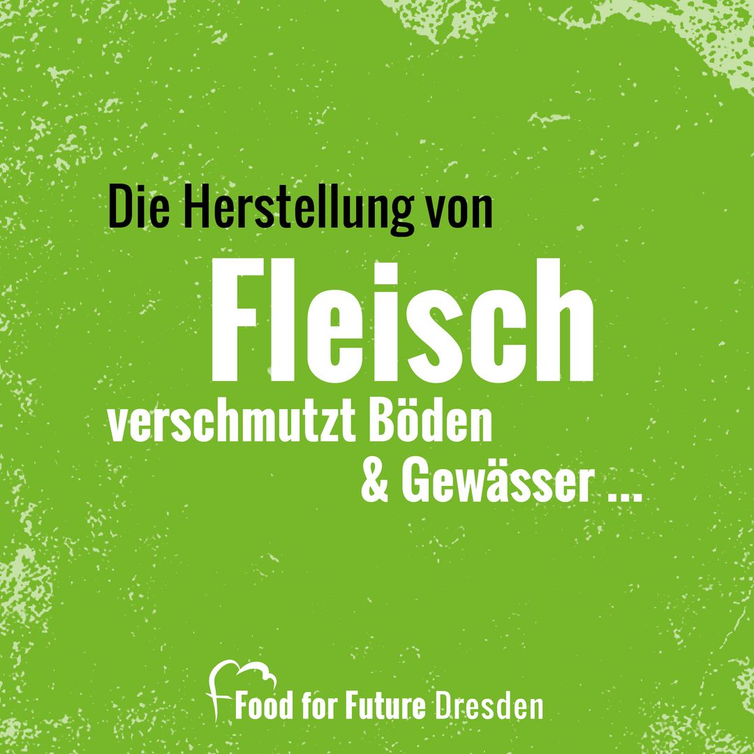 Hellgrüner Hintergrund mit der Bildaufschrift: Die Herstellung von Fleisch verschmutzt Böden und Gewässer...