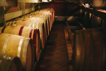 Dreizehn Weinfässer liegen in einem Weinkeller.