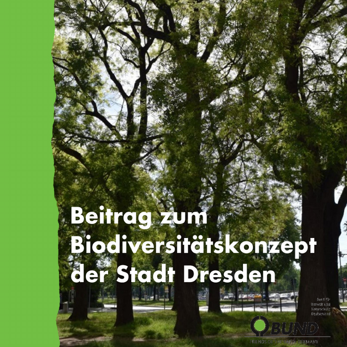Links ein grüner Rand, im Hintergrund Bäume. Bildaufschrift: Beitrag zum Biodiversitätskonzept der Stadt Dresden. Rechts unten das BUND-Logo.