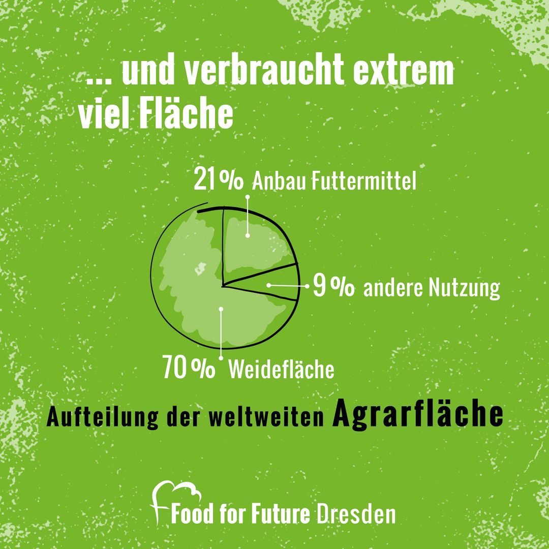 Hellgrüner Hintergrund. Bildaufschrift: "... und verbraucht extrem viel Fläche. Aufteilung der weltweiten Agrarfläche: 70% Weidefläche. 21% Anbau Futtermittel. 9% andere Nutzung.   