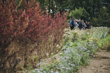 Menschen gehen durch einen Garten.
