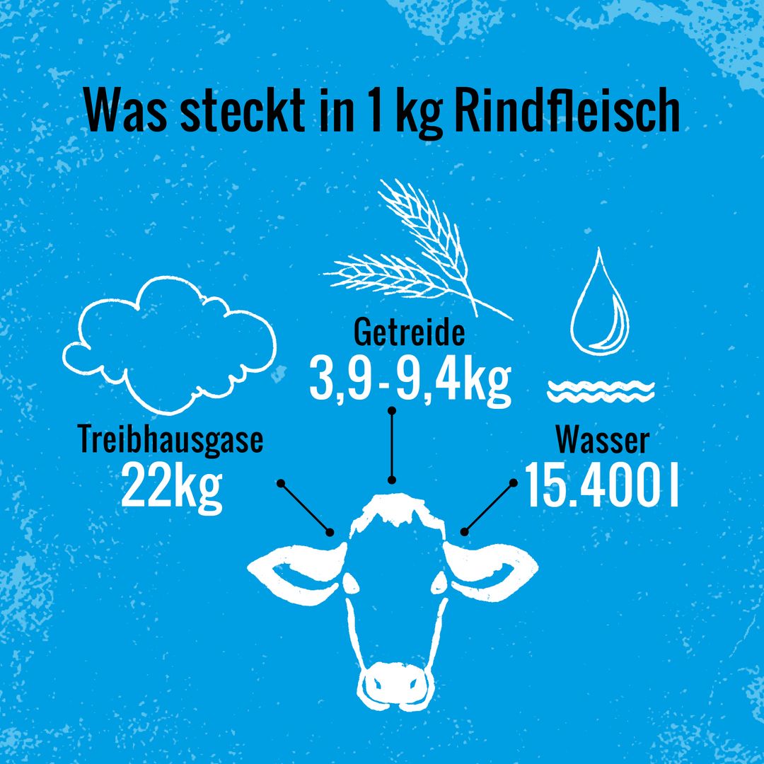 Hellblauer Hintergrund. Bildaufschrift: Was steckt in 1kg Rindfleisch. Treibhausgase 22kg. Getreide 3,9-9,4kg.  Wasser 15.400l.