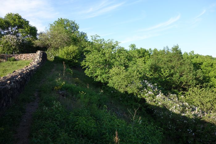 Links eine Trockenmauer, rechts daneben ein Hang mit Wiese, im Hintergrund Bäume und Sträucher.