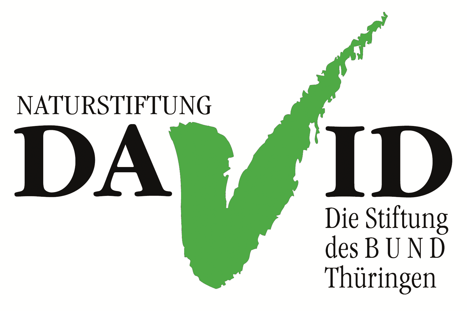 Logo der Naturstiftung David. Die Stiftung des BUND Thüringen.