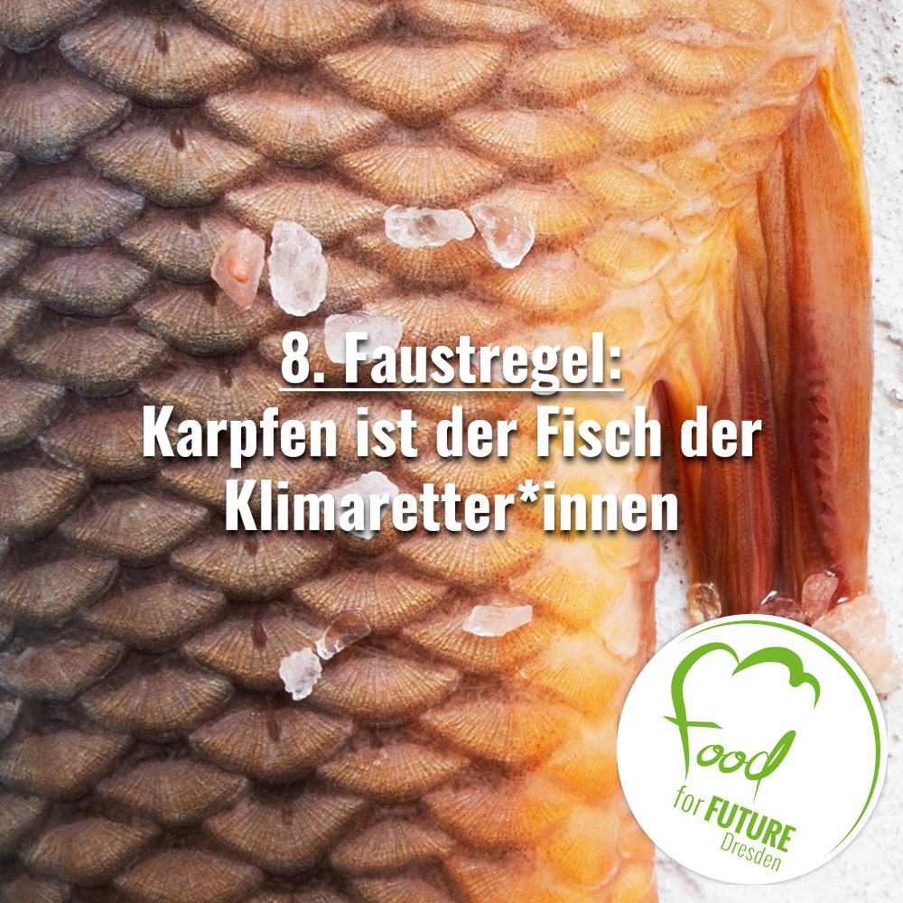 Nahaufnahme von Fischschuppen. Bildaufschrift: 8. Faustregel. Karpfen ist der Fisch der Klimaretter:innen. 