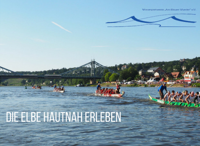 Mehrere Ruderboote auf der Elbe vor dem Blauen Wunder. 