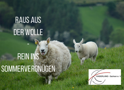 Ein Schaf und sein Lamm, die über eine grüne Wiese rennen. Bildaufschrift: Raus aus der Wolle - rein ins Sommervergnügen. Logo Kinderland sachsen e.V.