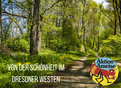 Waldweg. Bildaufschrift: Von der Schönheit im Dresdner Westen. Logo von Aktion Ameise.