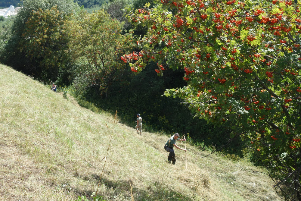 Bergwiese, die von verschiedenen Menschen mit der Sense gemäht wird. Rechts ein Baum mit roten Beeren, im Hintergrund Bäume.