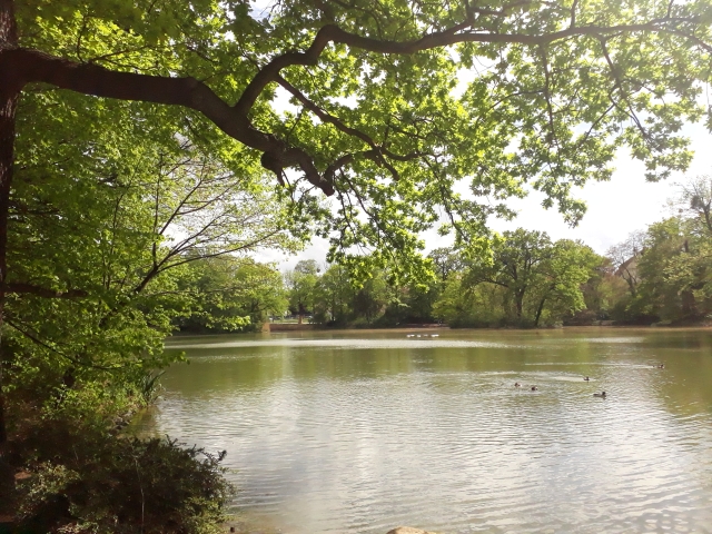 Ein großer See mit grünlichem Wasser, der von Bäumen umgeben ist.