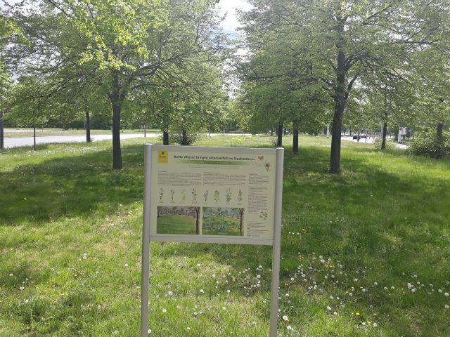 Information auf einer Wiese mit Bäumen.