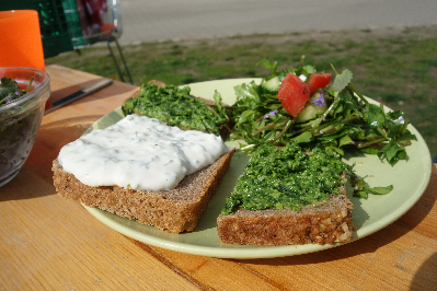 Zwei brotscheiben, bestrichen mit Quark und Kräuterpesto, daneben ein Salat aus Kräutern, sind auf einem weißen Teller angerichtet, der auf einem Holztisch steht.